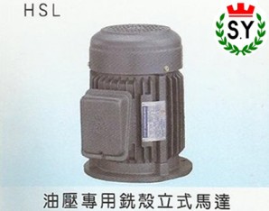群策電機(jī)_油壓專(zhuān)用銑殼立式馬達(dá)HSL