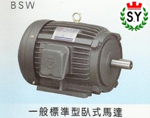 群策電機(jī)_一般標(biāo)準(zhǔn)型臥式馬達(dá)BSW