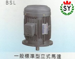群策電機_一般標準型立式馬達BSL