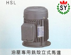 群策電機(jī)_油壓專用銑殼立式馬達(dá)HSL